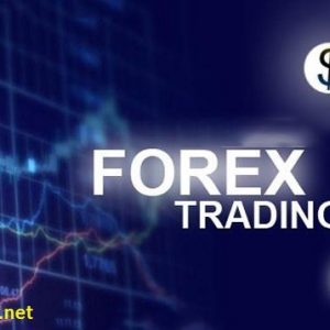 THE BEST FOREX BROKERS